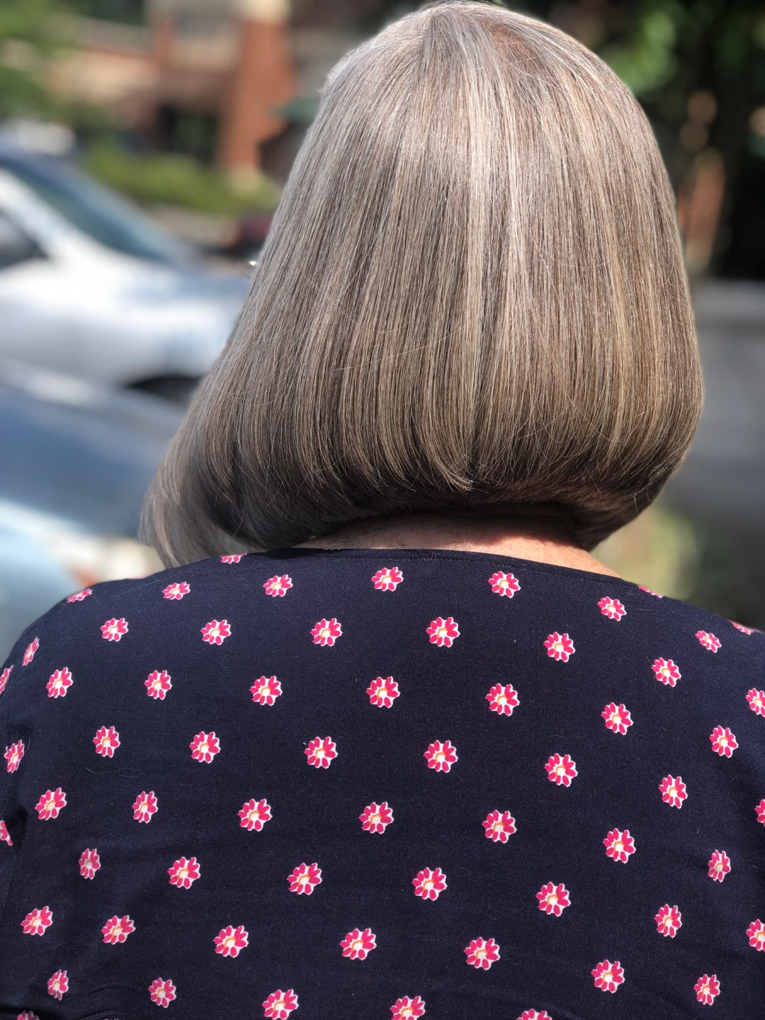 70CEEF4B-232E-4423-8182-217D619A14EB